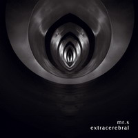 Mr.S prezentuje nowy album Extracerebral