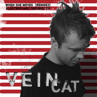 Vein Cat – WHEN SHE MOVES [Remixez]