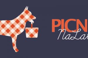 Pets Recordings zaprasza na Picnik