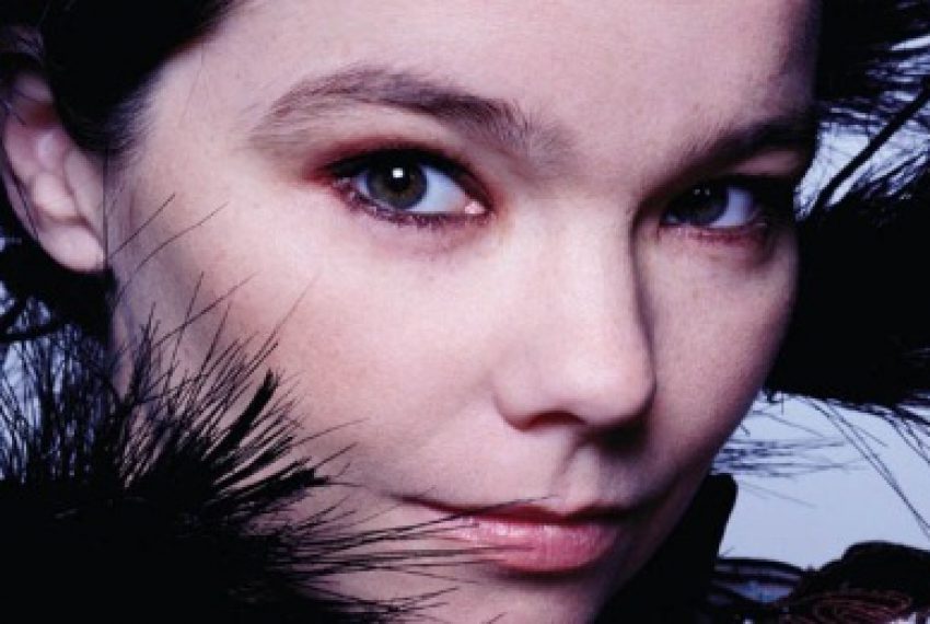 Grzybowa Björk prezentuje nowy teledysk