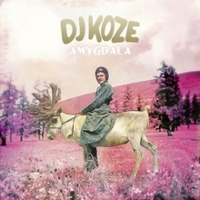 DJ Koze – Amygdala