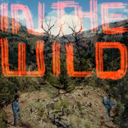 FaltyDL – In The Wild