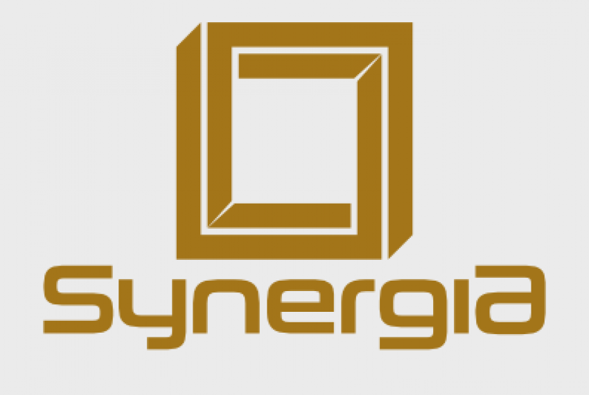Synergia Club