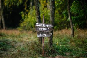 Sadzimy Techno Las – posadź swoją własną choinkę