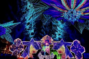 Tribalanga Festival 2021 – najbardziej uduchowiony festiwal nadchodzi
