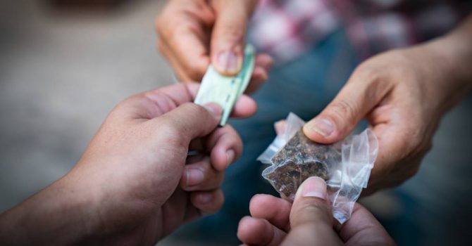 Nowa Zelandia zaskakuje. Kraj kiwi w pełni legalizuje testowanie narkotyków