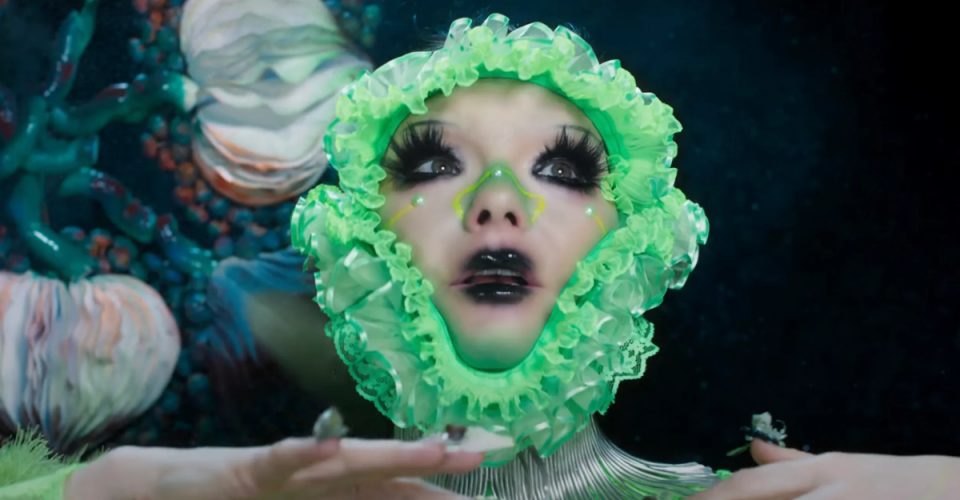 Björk w krainie grzybów