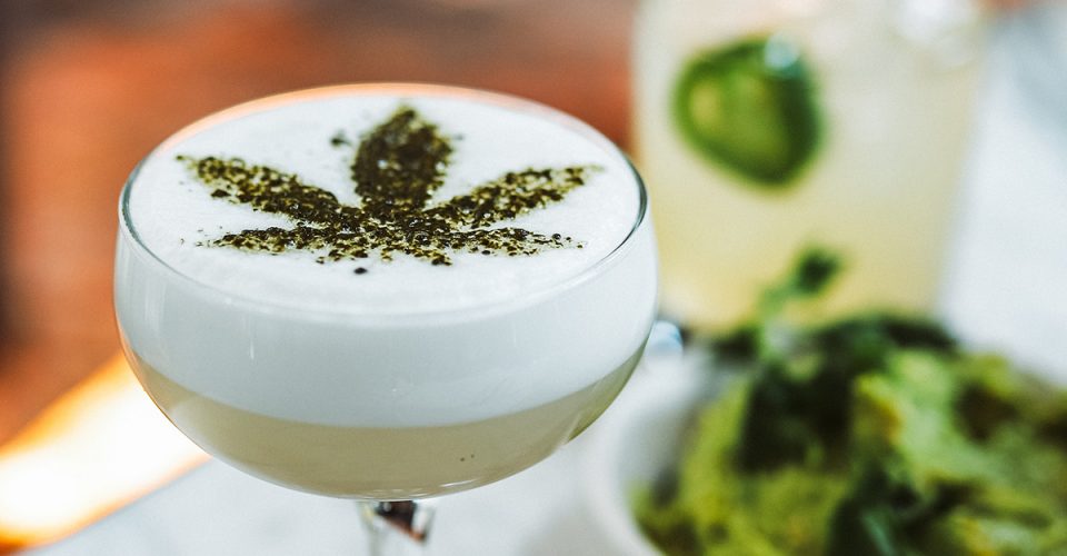 Drinki z marihuaną – wszystko co musisz wiedzieć