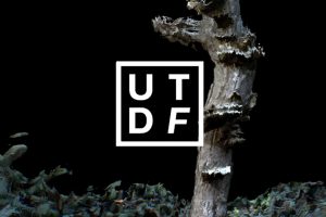 Up To Date Festival 2023 odbędzie się w czerwcu